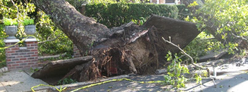 Severe weather can cause downed trees and other property damage.