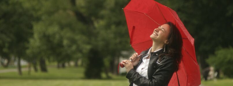 An umbrella policy provides coverage over and above what your regular insurance will cover.