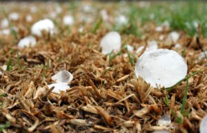 Take steps to minimize hail damage.