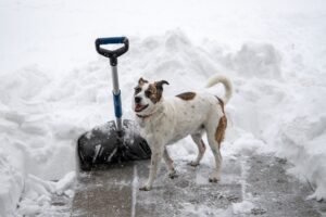 Taking care of a few important home-maintenance tasks now could help you avoid a winter homeowner insurance claim.