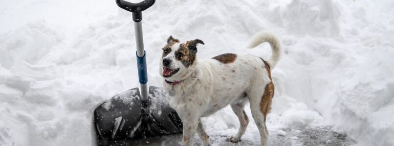 Taking care of a few important home-maintenance tasks now could help you avoid a winter homeowner insurance claim.